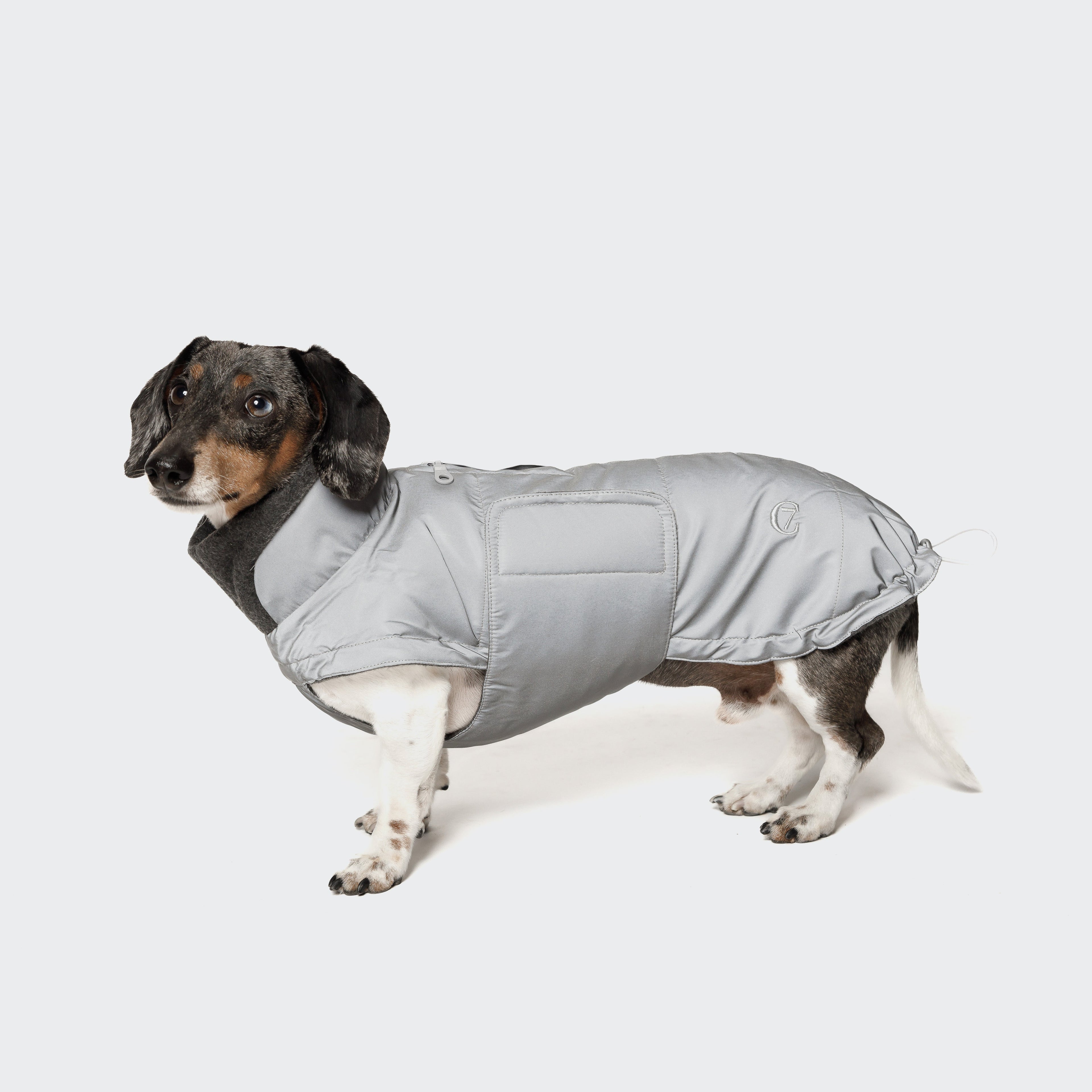 Brooklyn-Style Reflective Dachshund Coat