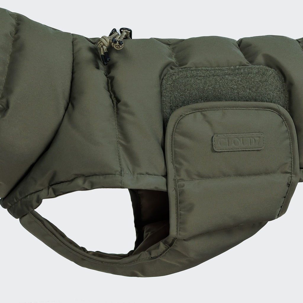 Cozy Dachshund Coat in Alaska Light Olive
