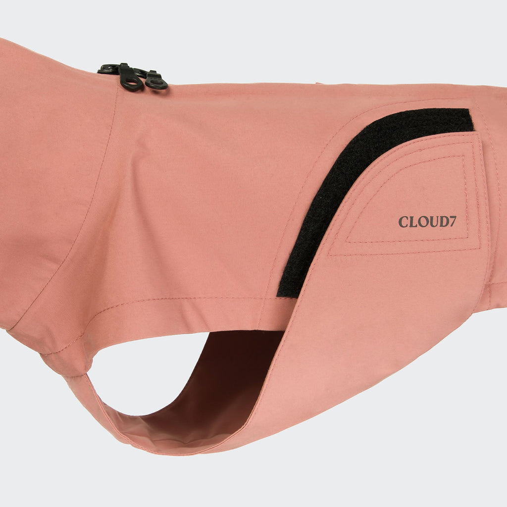 Dachshund Raincoat Dublin 2.0 in Faded Rose