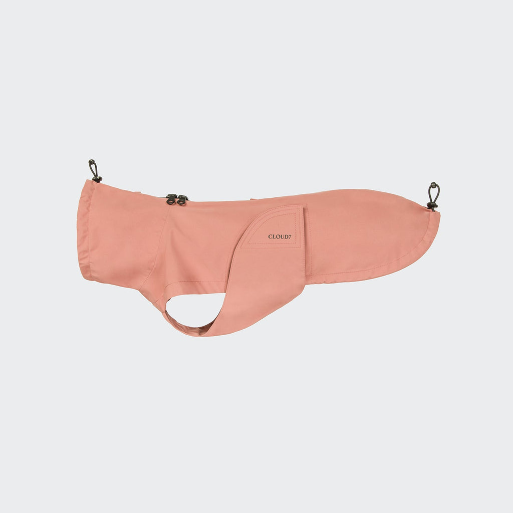 Dachshund Raincoat Dublin 2.0 in Faded Rose