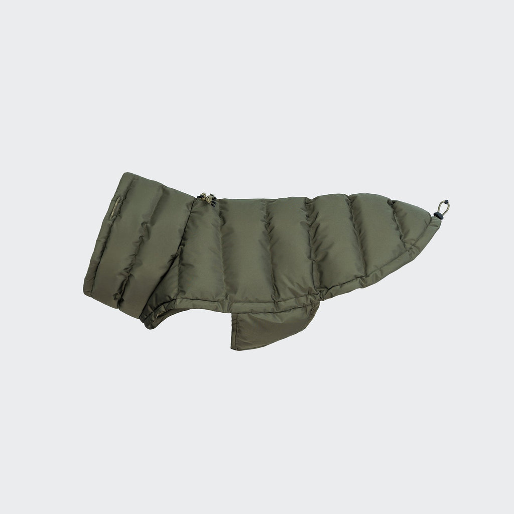 Alaska Light Olive French Bulldog Coat - Cozy, Lightweight Dog Jacket
