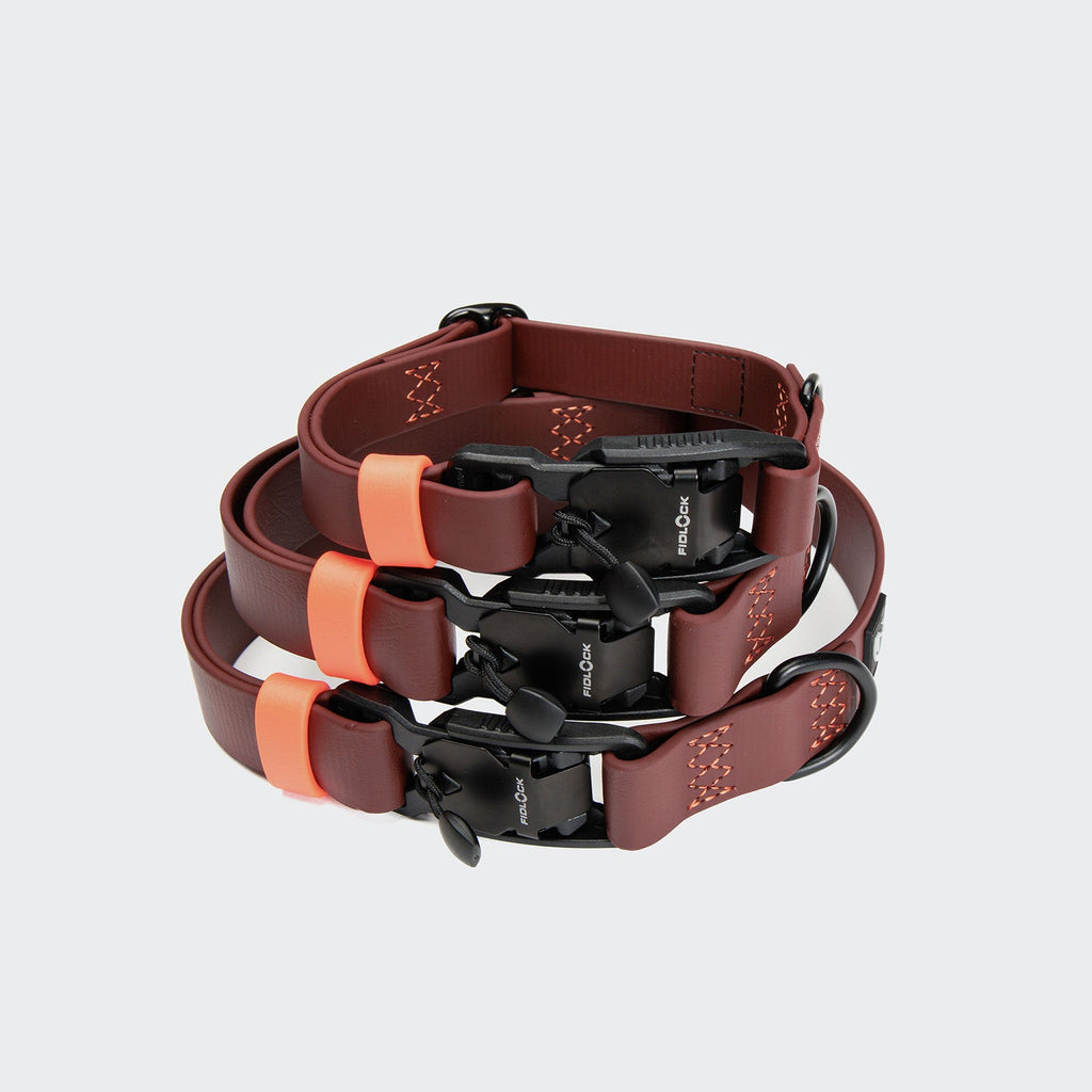Premium BioThane Ipanema Dog Collar in Dark Aubergine