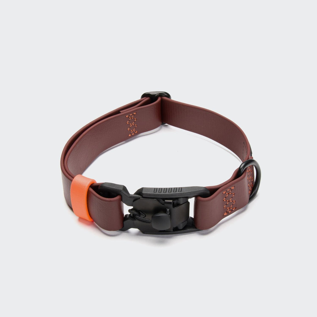 Premium BioThane Ipanema Dog Collar in Dark Aubergine