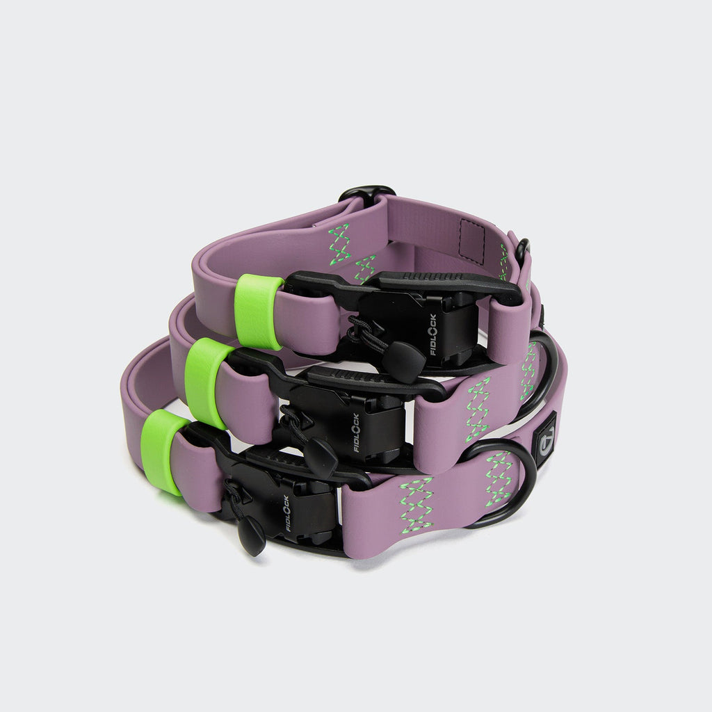 Lilac Ipanema BioThane Dog Collar