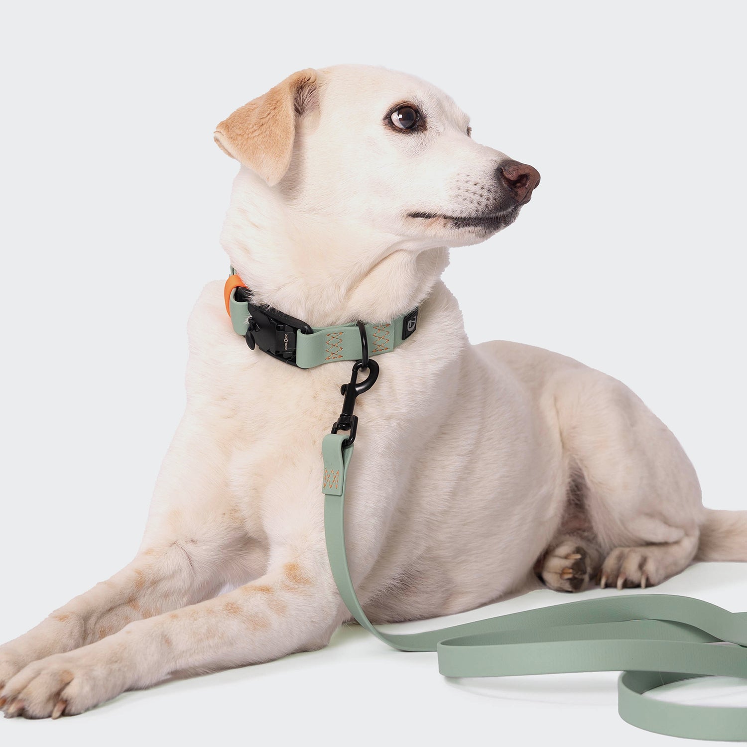 Ipanema BioThane Dog Collar – Mint & Neon Orange