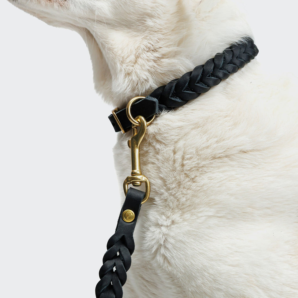 Riverside Park Dog Leash - Black & Gold