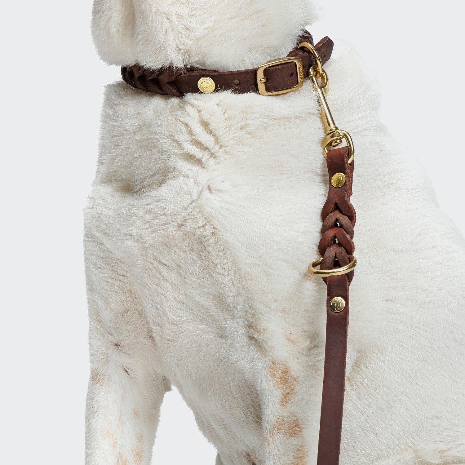 Riverside Park Dog Leash - Saddle Brown with Gold Accents
