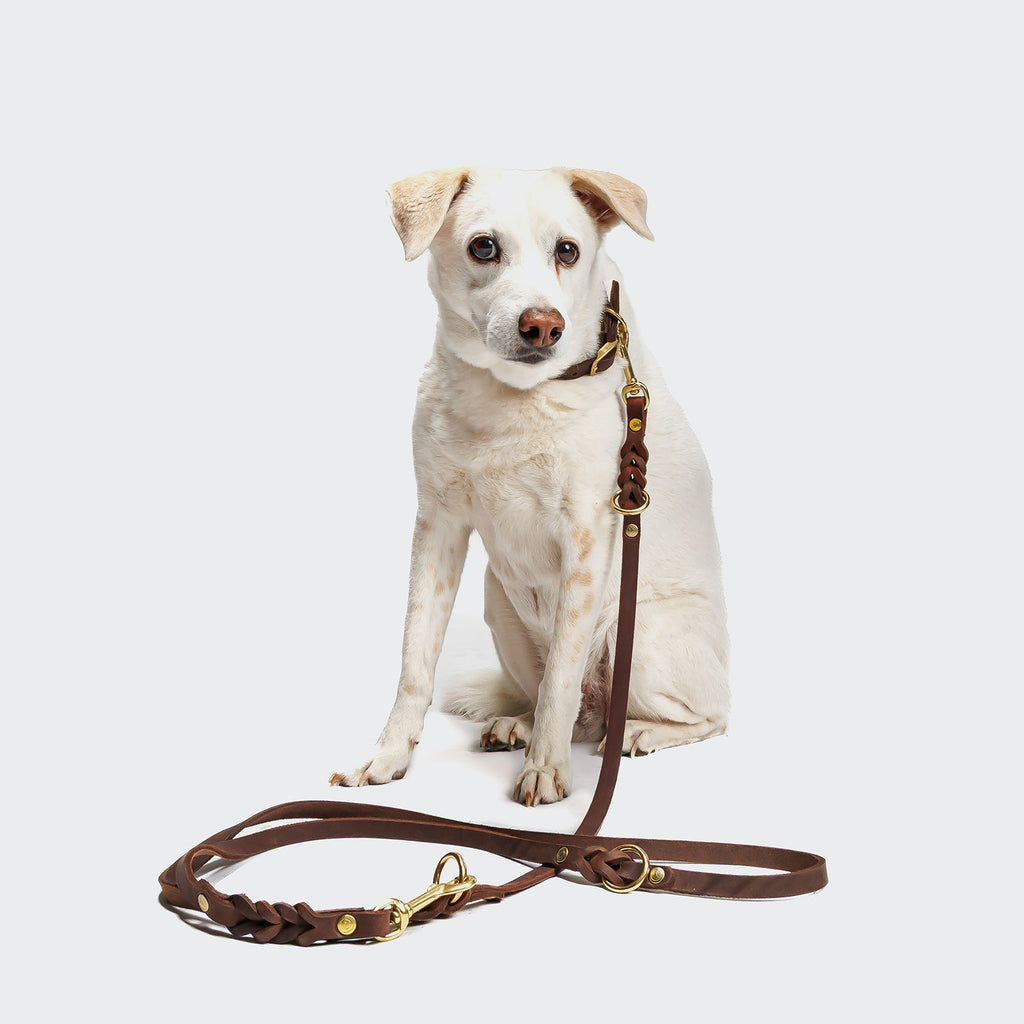 Riverside Park Dog Leash - Saddle Brown with Gold Accents