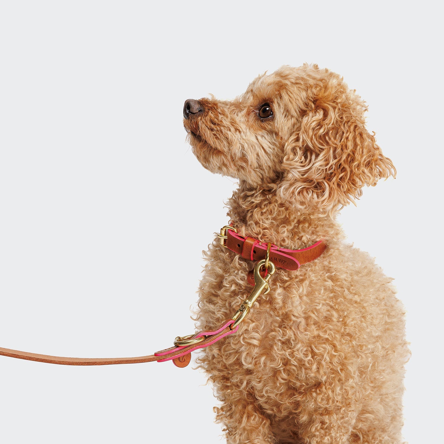 Prince Park Dog Leash – Cognac & Pink