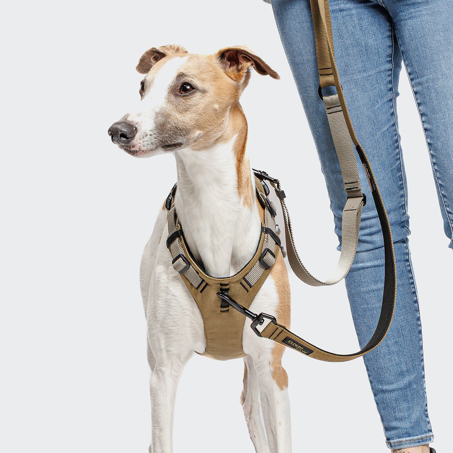 AKTIV L-1 Hands-Free Leash in Khaki/Grey