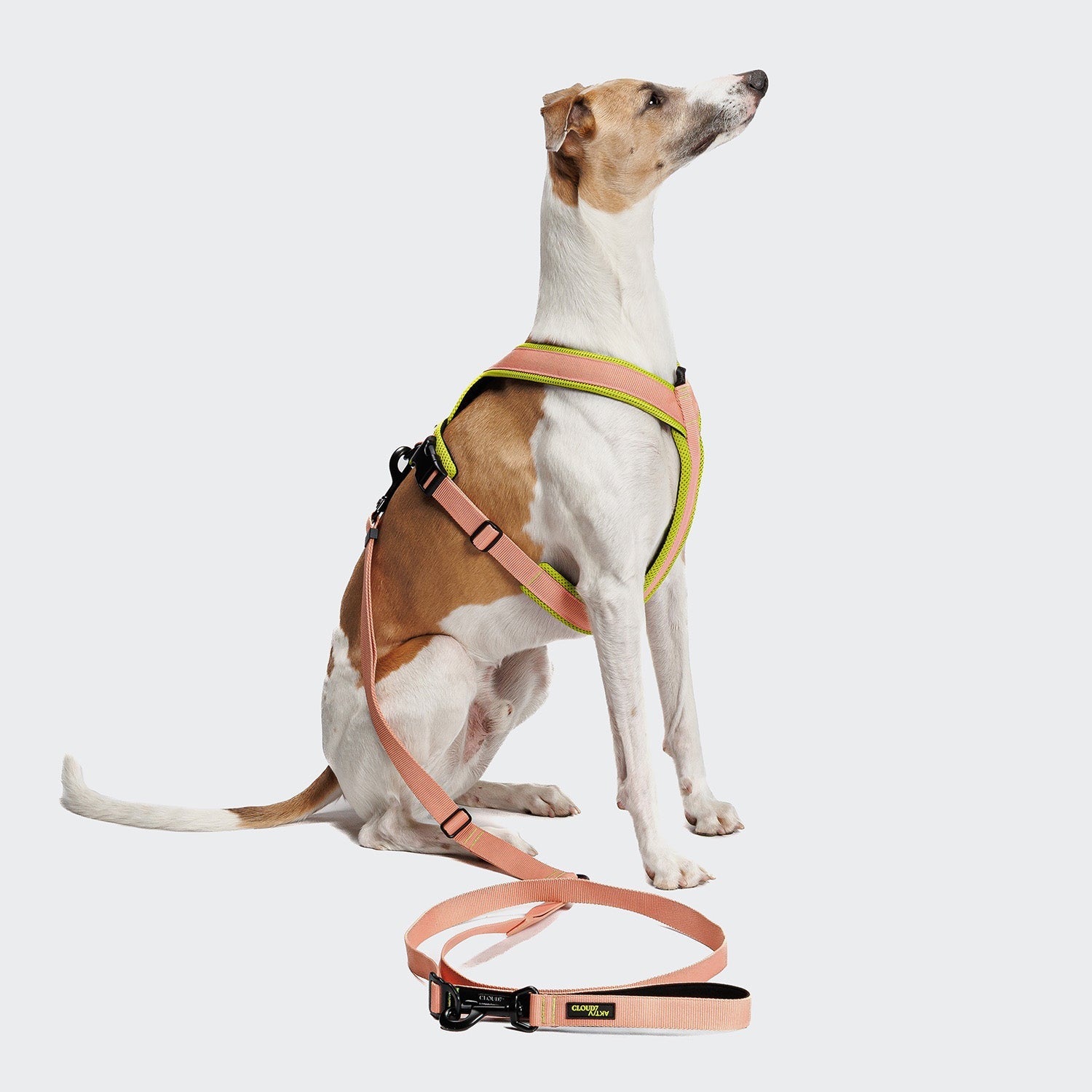 AKTIV L-1 Hands-Free Dog Leash - Peach