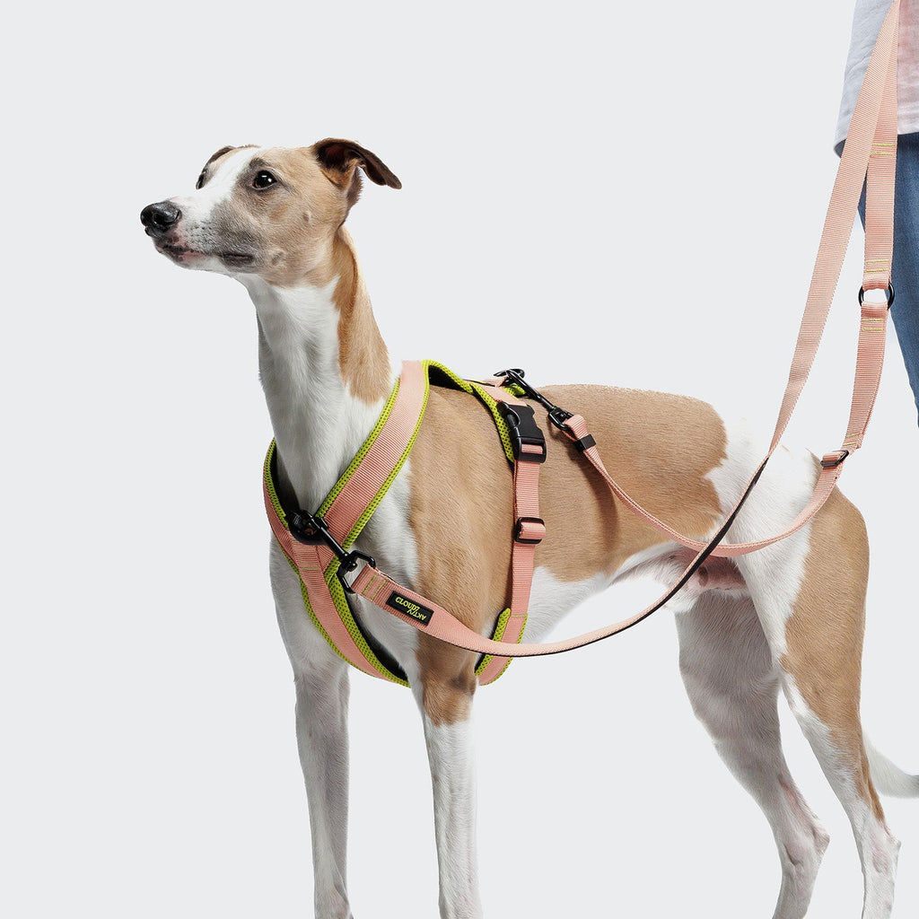 Y-1 Harness with AKTIV Air-Mesh in Peach