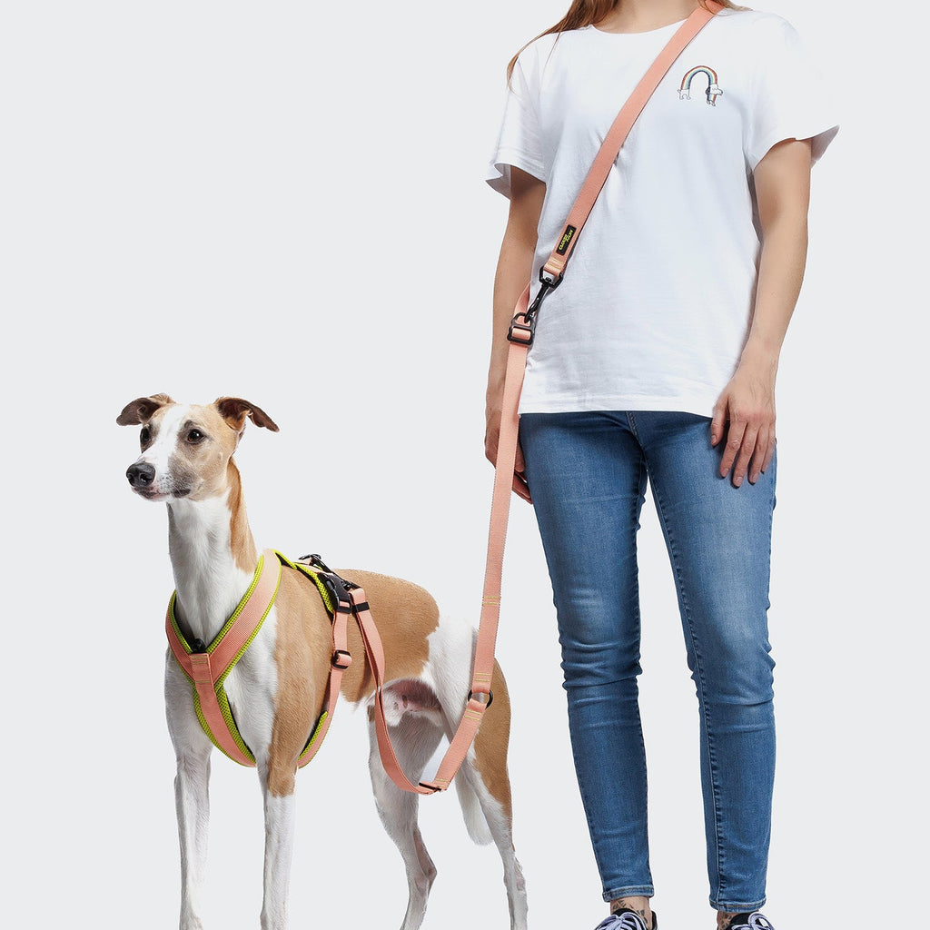 Y-1 Harness with AKTIV Air-Mesh in Peach