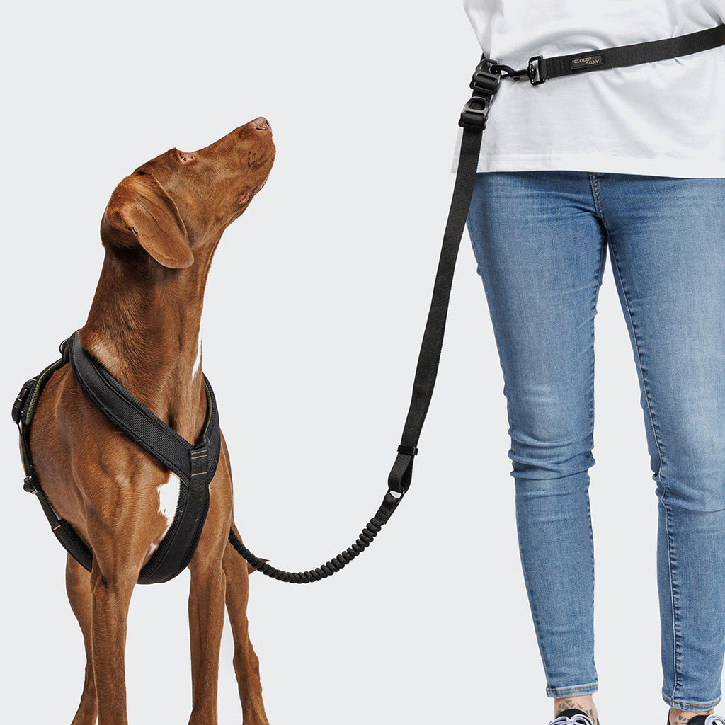 L-2 Jogging-Leash AKTIV Black – Lightweight, durable jogging leash for active dogs