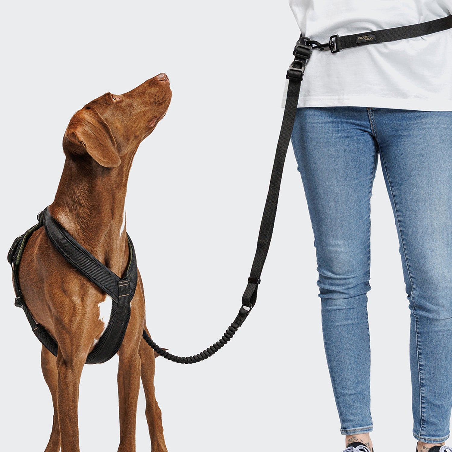L-2 Jogging-Leash AKTIV Black – Lightweight, durable jogging leash for active dogs