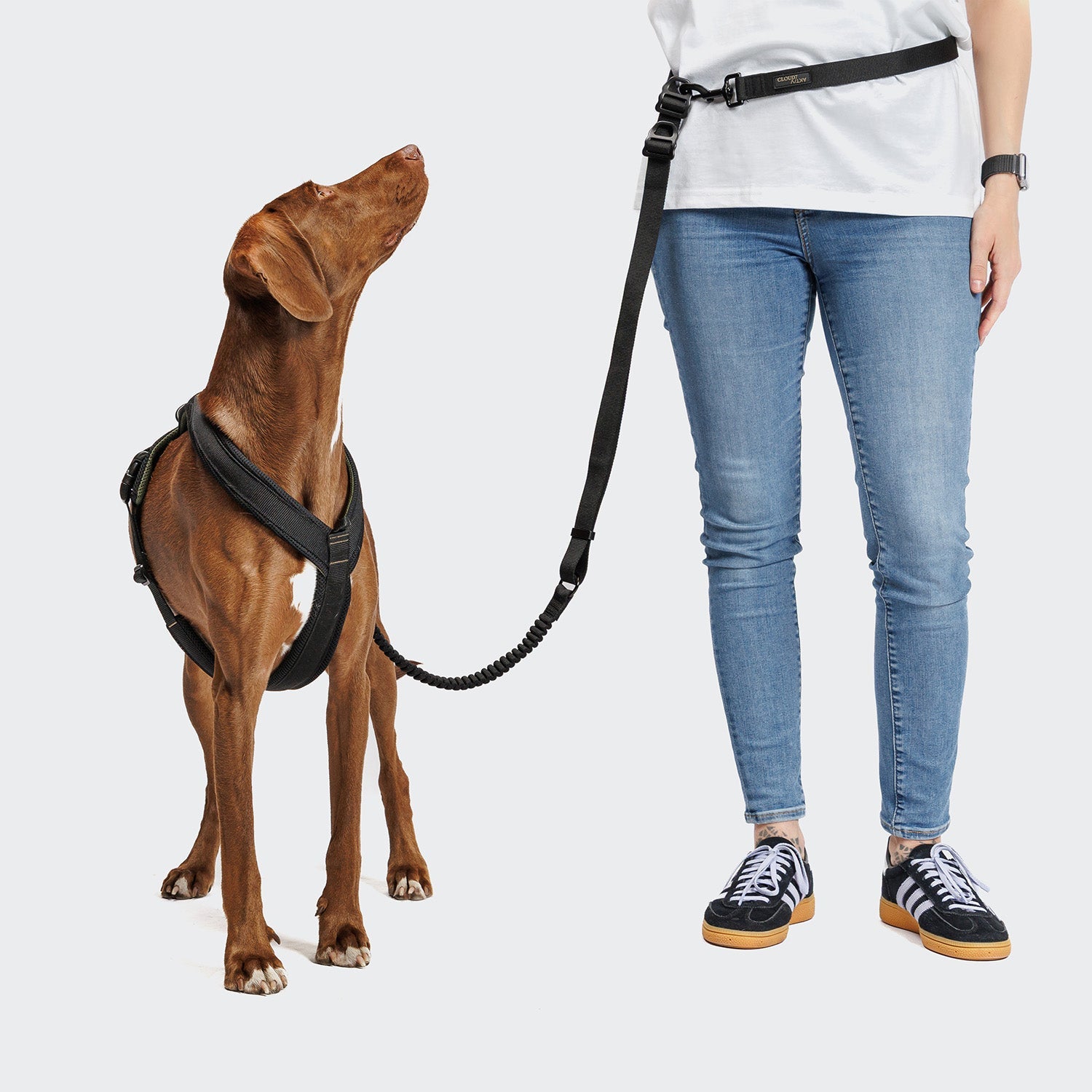Y-1 Harness AKTIV Air-Mesh Black - Lightweight, Breathable Comfort