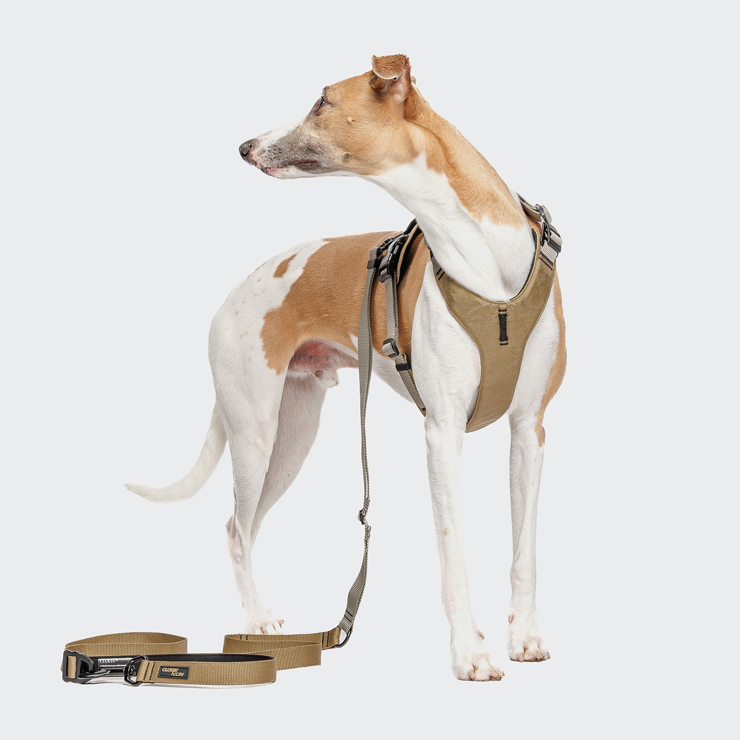AKTIV L-1 Hands-Free Leash in Khaki/Grey