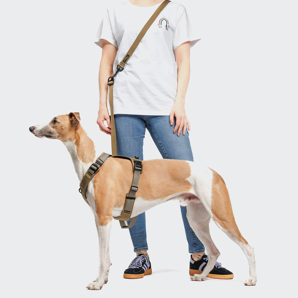 Y-2 AKTIV Cordura Harness – Rugged Khaki