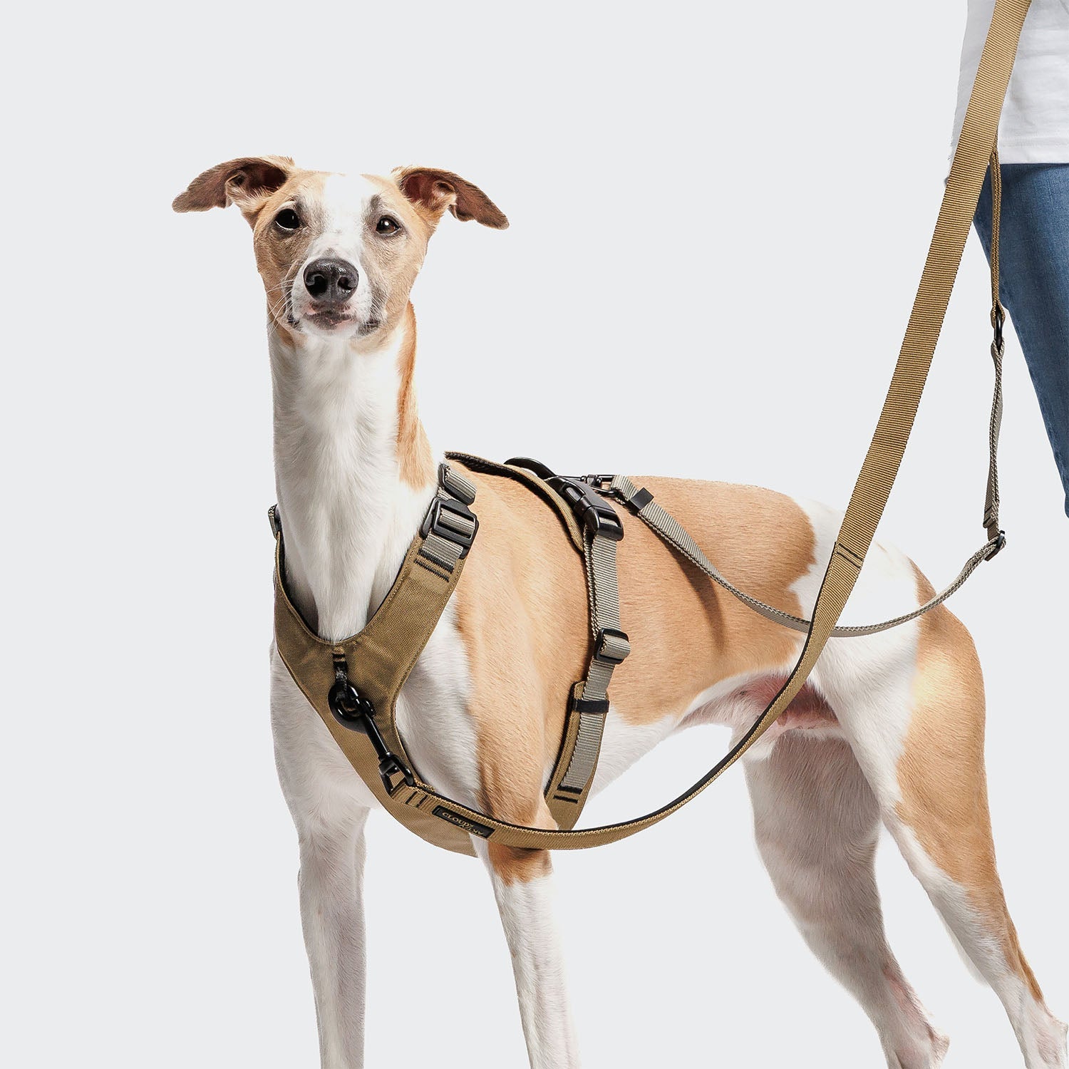 AKTIV L-1 Hands-Free Leash in Khaki/Grey