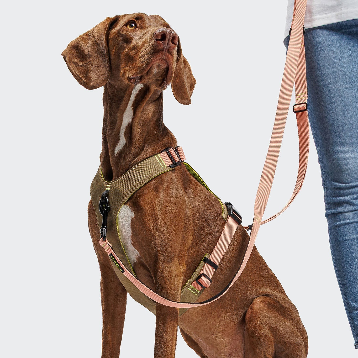 Y-2 Harness ACTIVE Cordura Peach - Premium, Durable Peach Cordura Harness