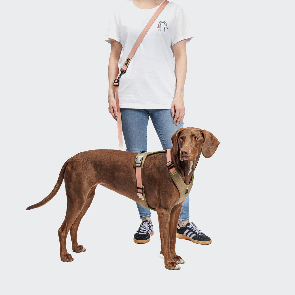 AKTIV L-1 Hands-Free Dog Leash - Peach