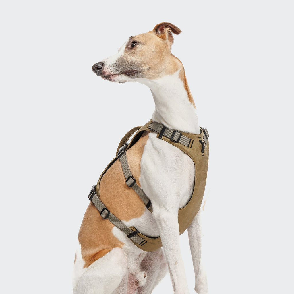 Y Safety Harness AKTIV – Khaki/Grey, All-Day Comfort