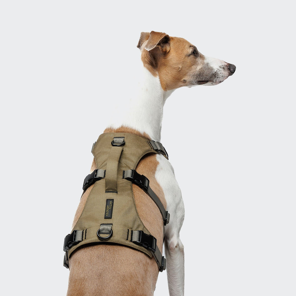 Y Safety Harness AKTIV – Khaki/Grey, All-Day Comfort