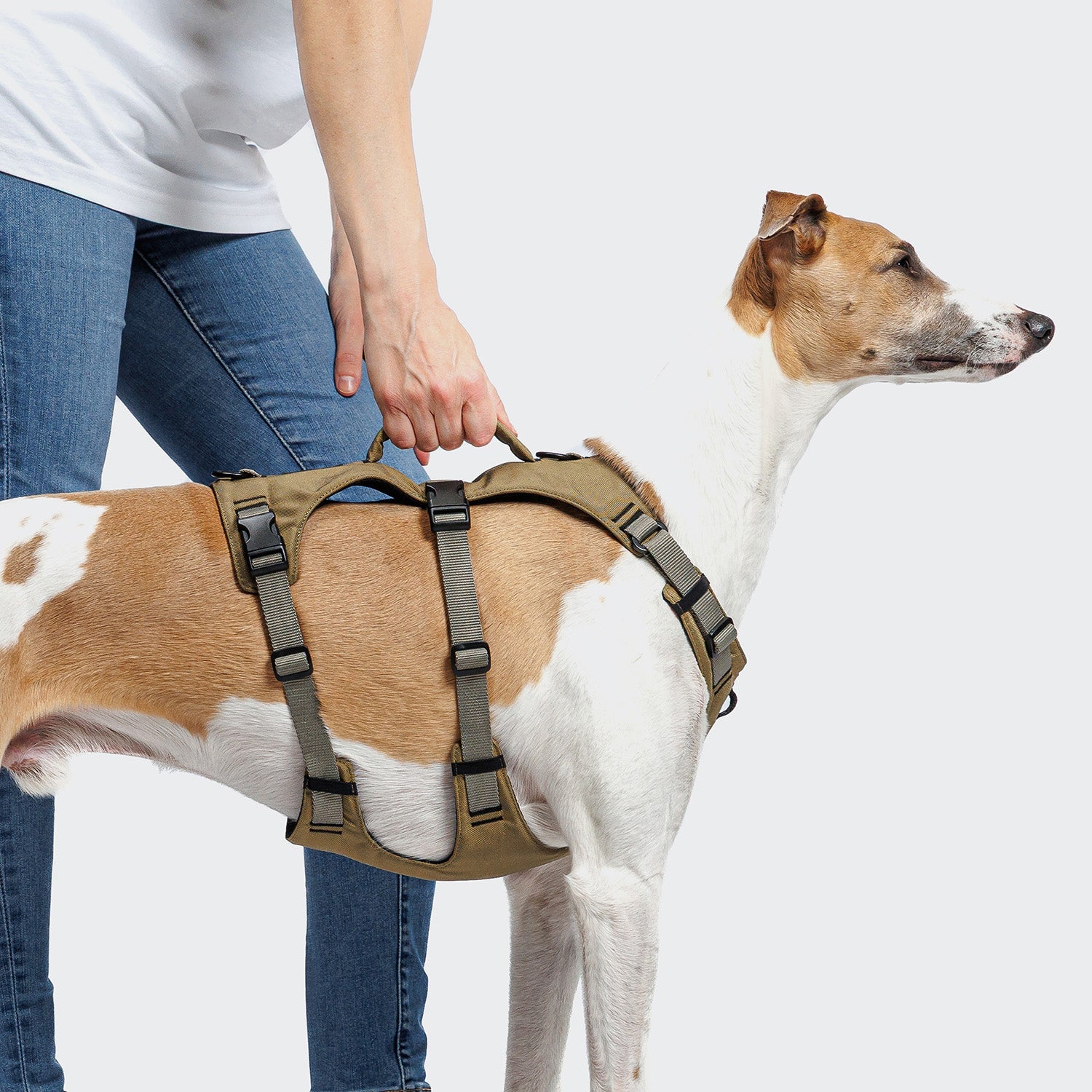 Y Safety Harness AKTIV – Khaki/Grey, All-Day Comfort