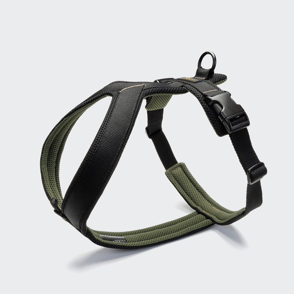 Y-1 Harness AKTIV Air-Mesh Black - Lightweight, Breathable Comfort
