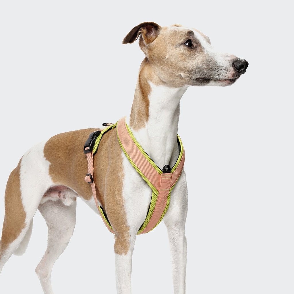 Y-1 Harness with AKTIV Air-Mesh in Peach