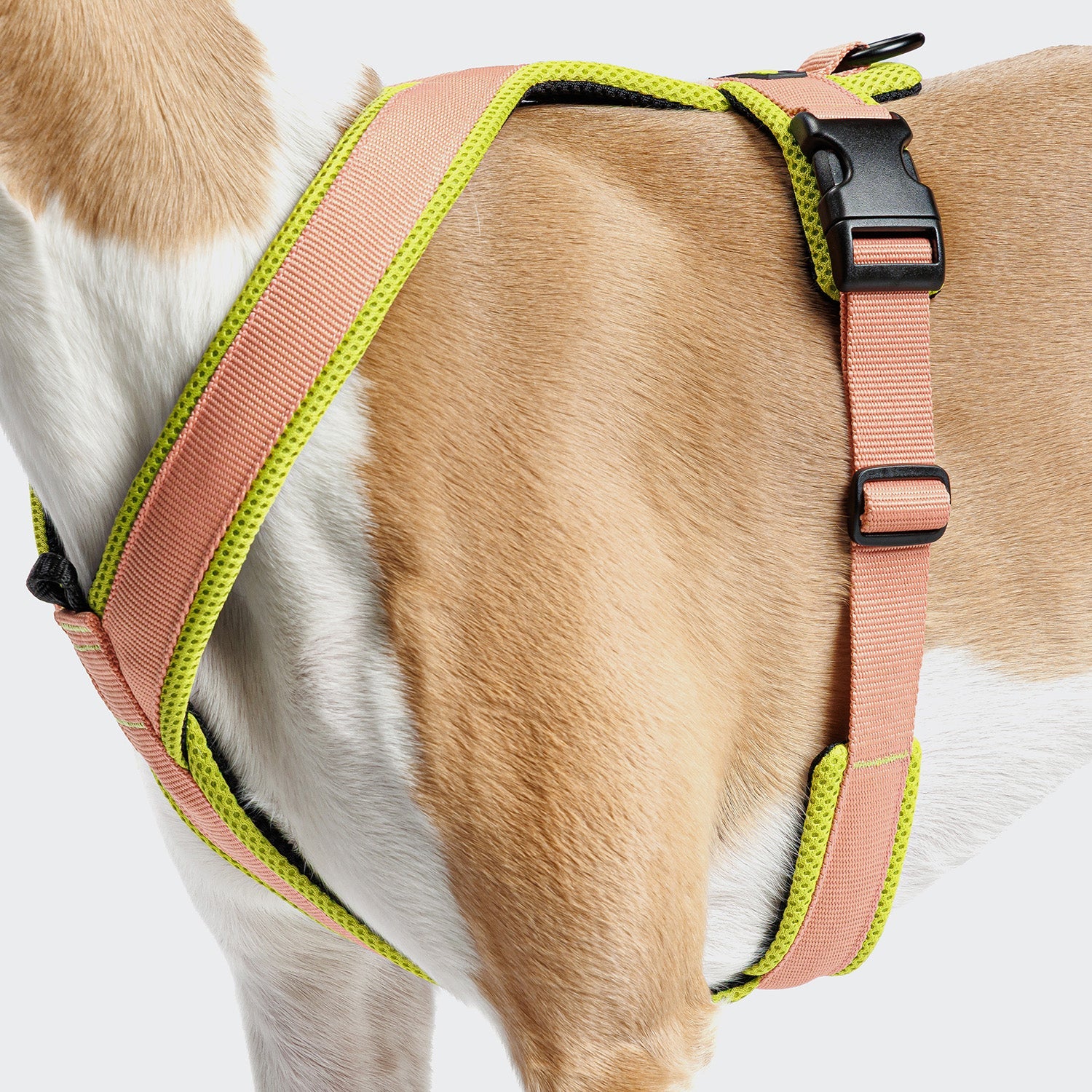 Y-1 Harness with AKTIV Air-Mesh in Peach