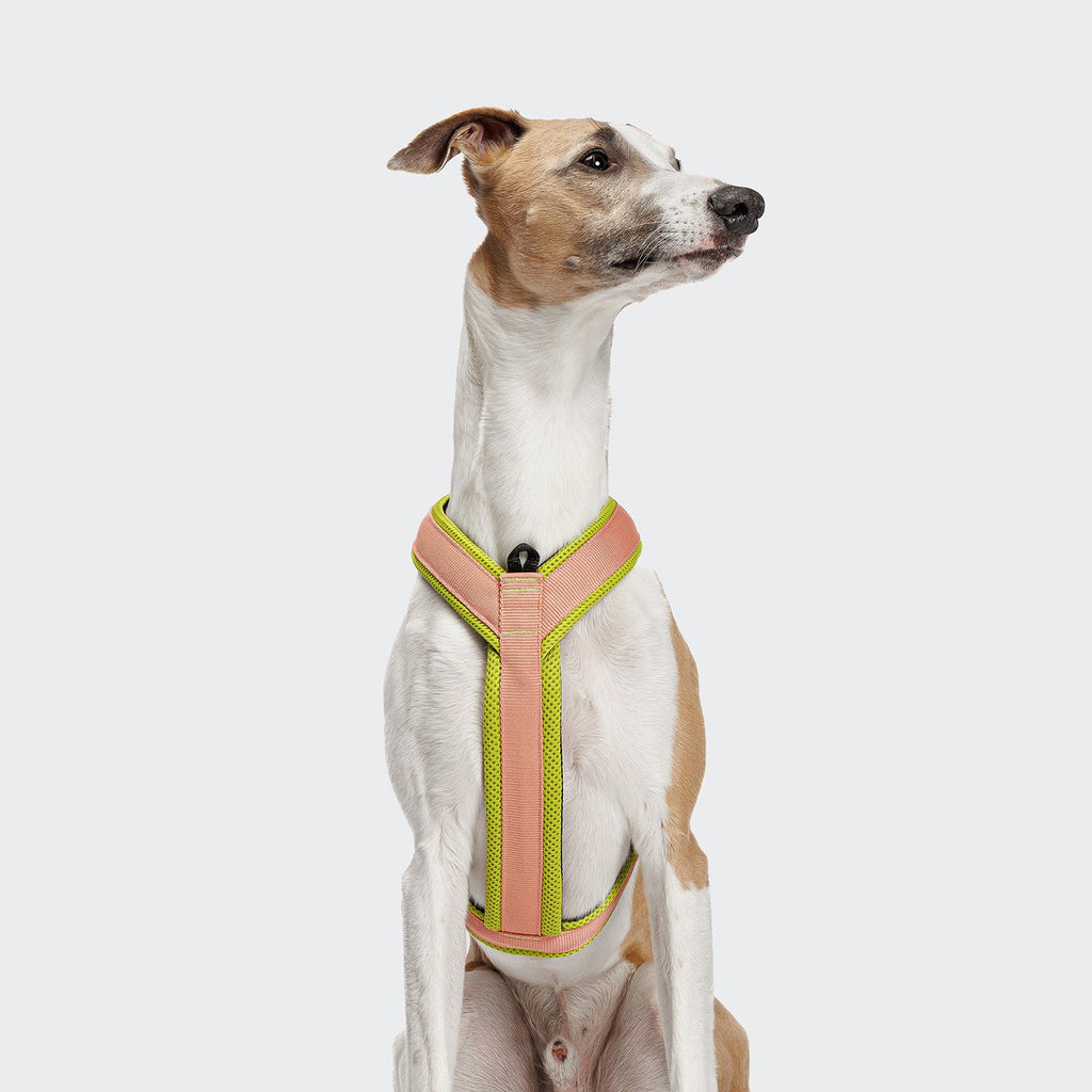 Y-1 Harness with AKTIV Air-Mesh in Peach