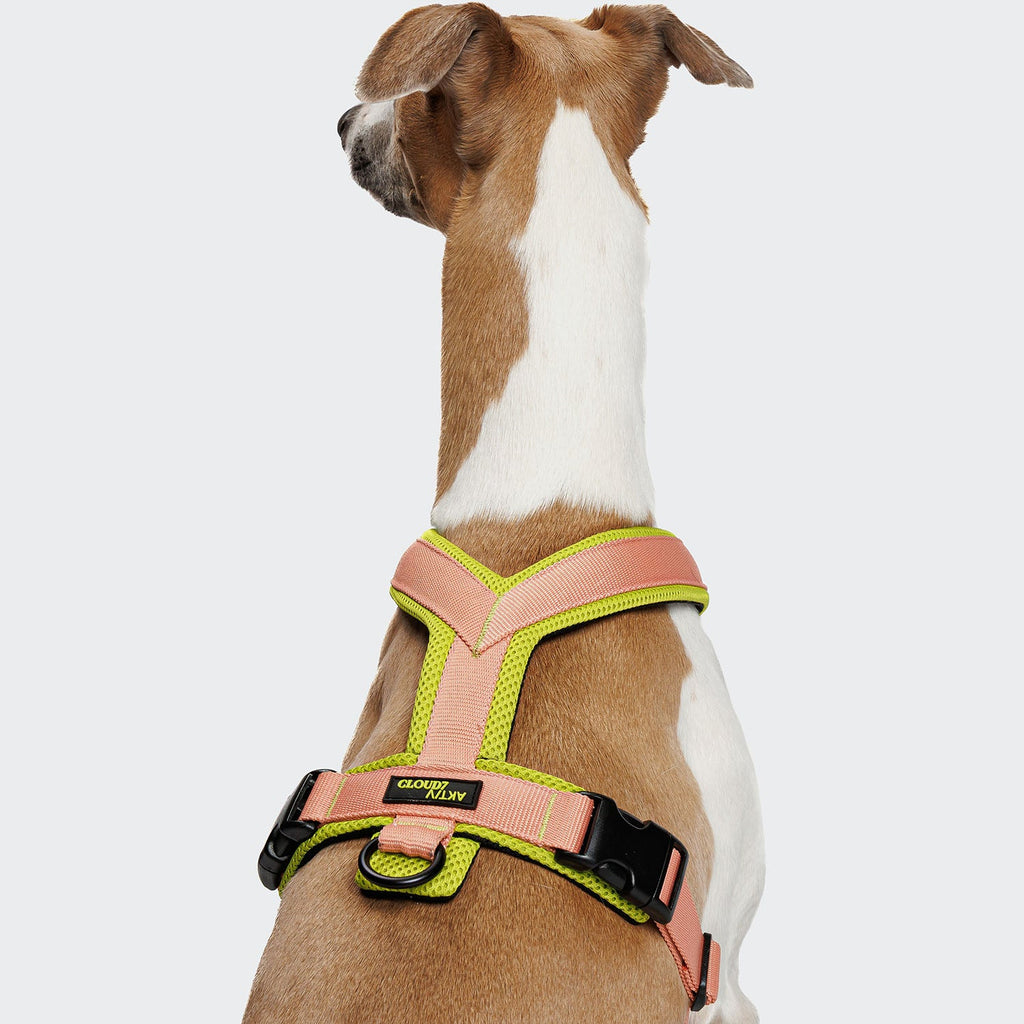 Y-1 Harness with AKTIV Air-Mesh in Peach