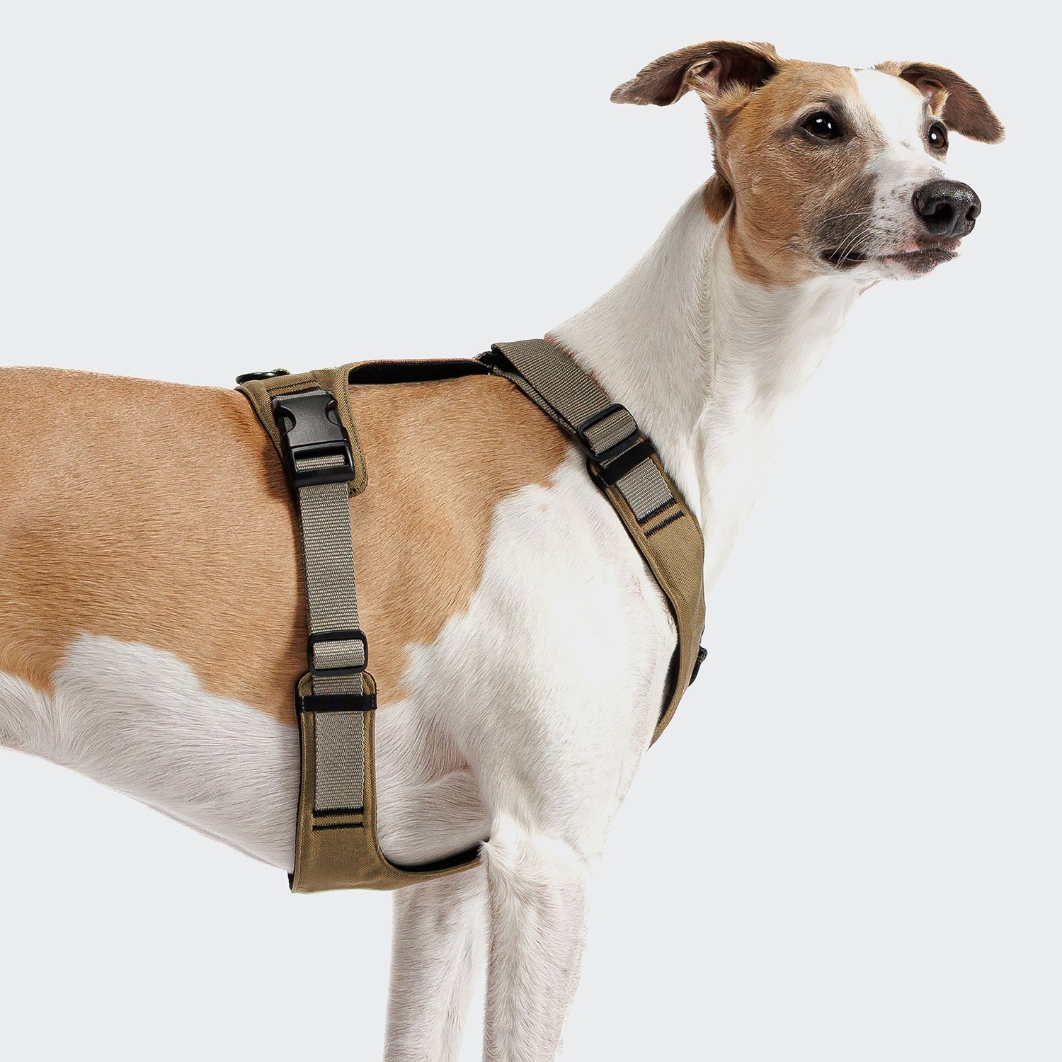 Y-2 AKTIV Cordura Harness – Rugged Khaki