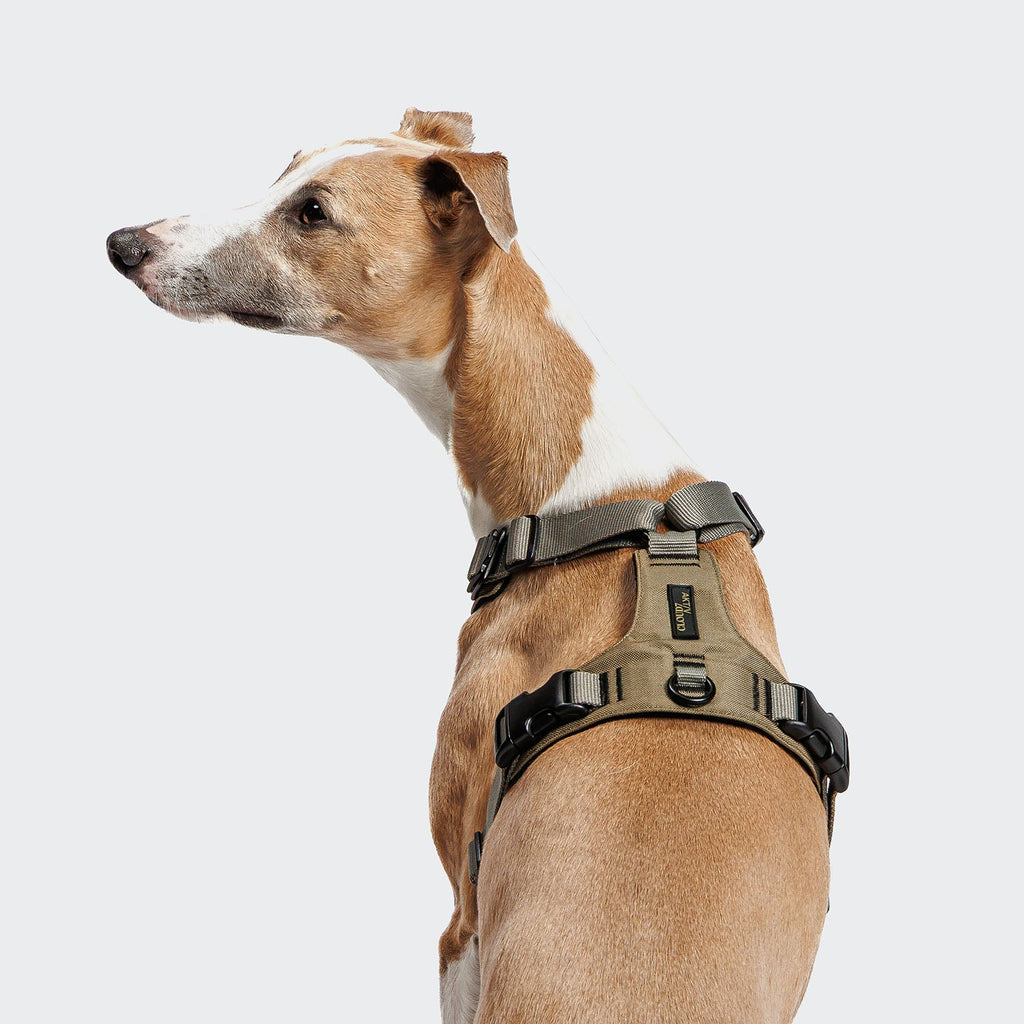 Y-2 AKTIV Cordura Harness – Rugged Khaki