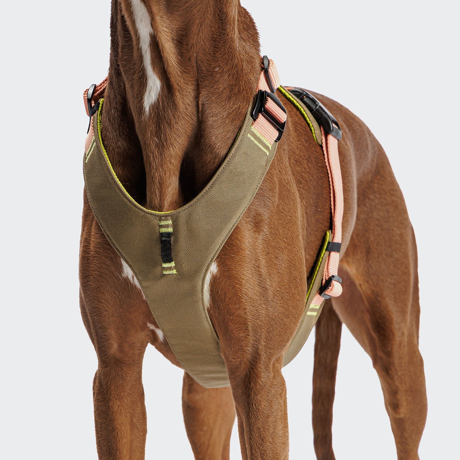 Y-2 Harness ACTIVE Cordura Peach - Premium, Durable Peach Cordura Harness