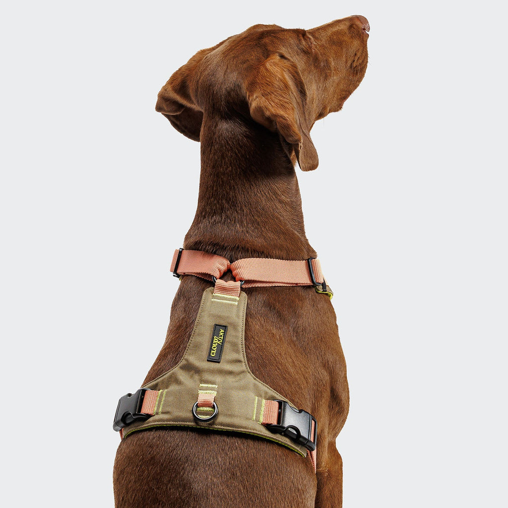 Y-2 Harness ACTIVE Cordura Peach - Premium, Durable Peach Cordura Harness