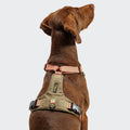 Y-2 Harness ACTIVE Cordura Peach - Premium, Durable Peach Cordura Harness