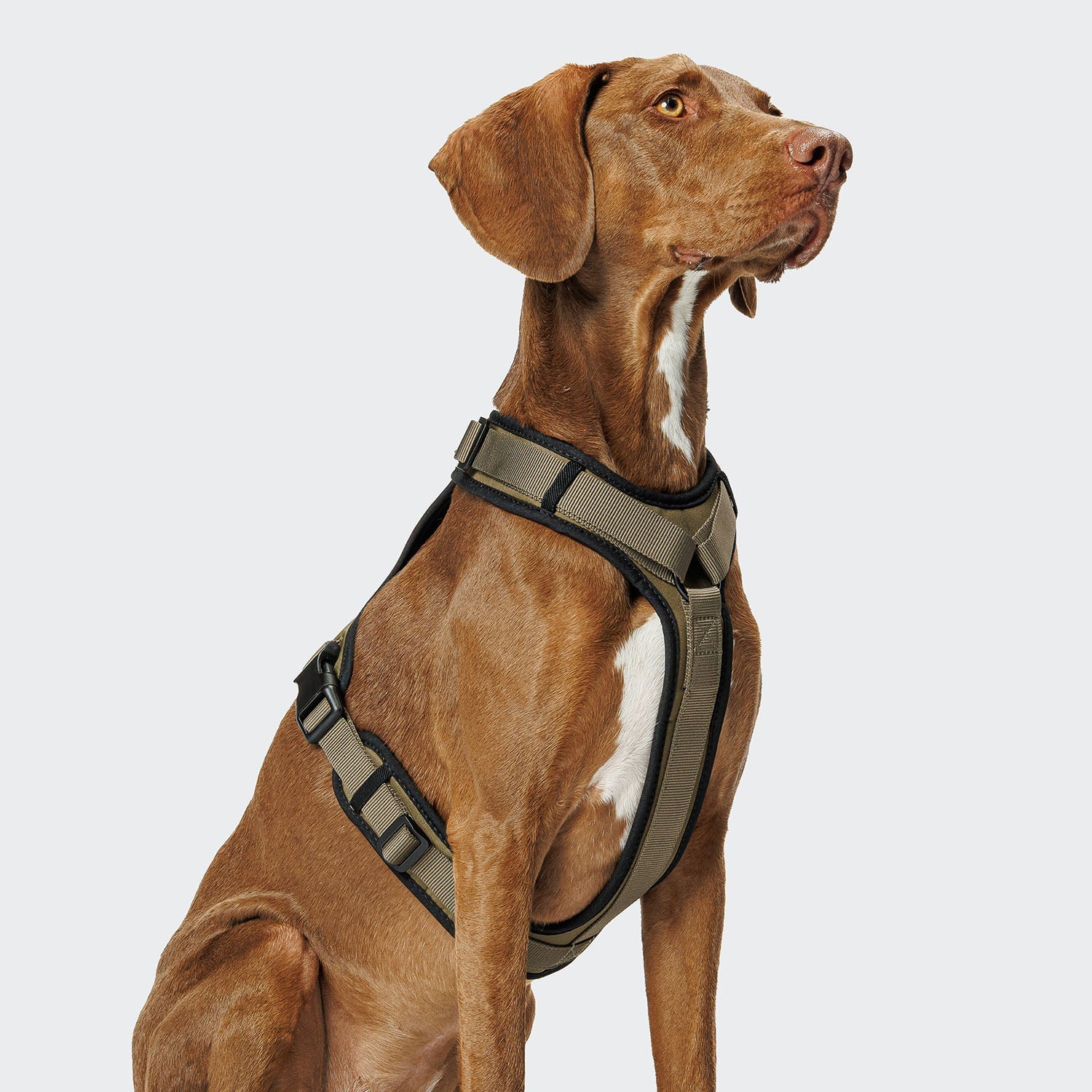 Y-3 Harness AKTIV Softshell Jacket in Olive