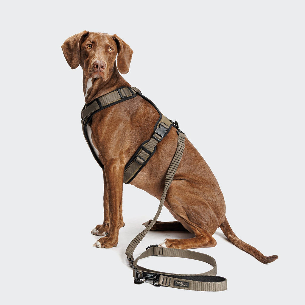 L-2 Jogging Leash AKTIV Olive – lighter, sturdier running companion