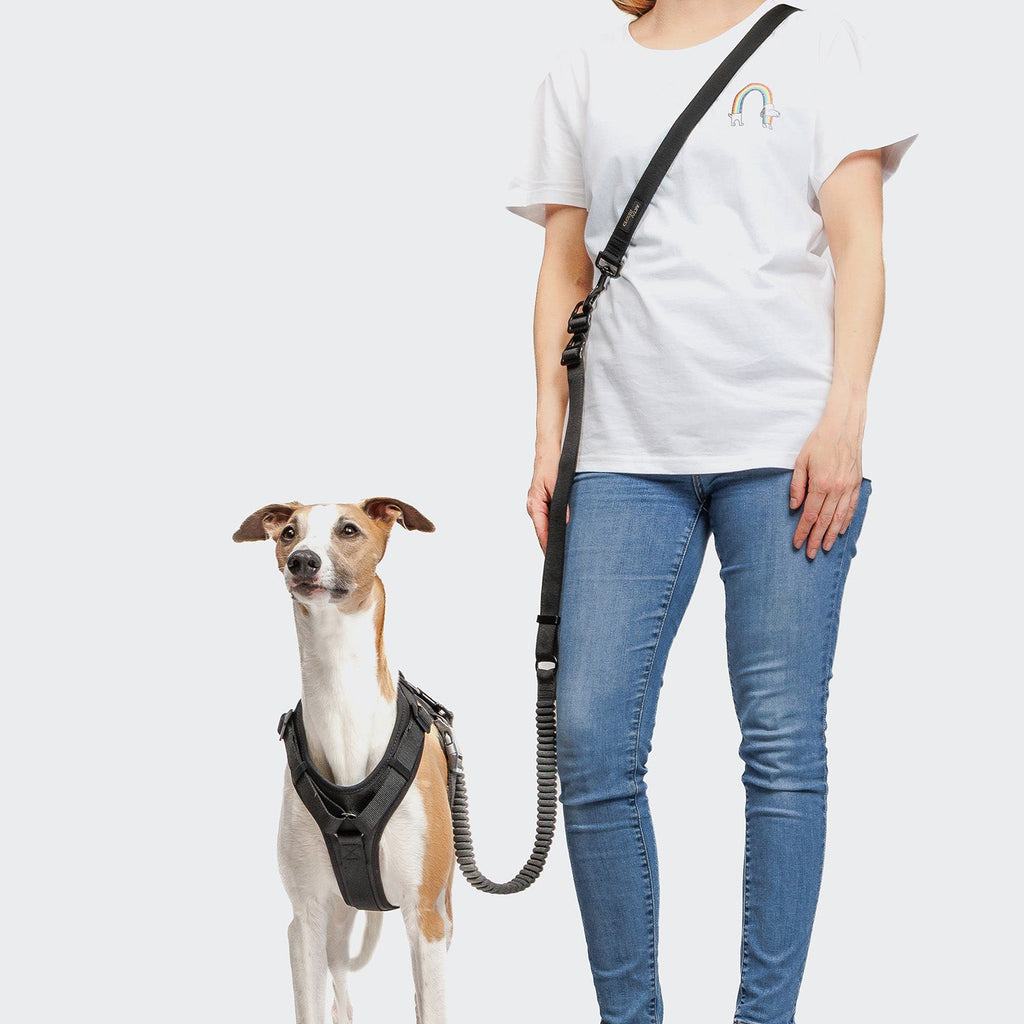 L-2 Jogging-Leash AKTIV Black – Lightweight, durable jogging leash for active dogs