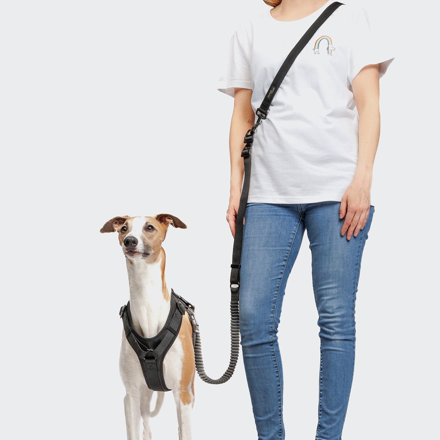 L-2 Jogging-Leash AKTIV Black – Lightweight, durable jogging leash for active dogs