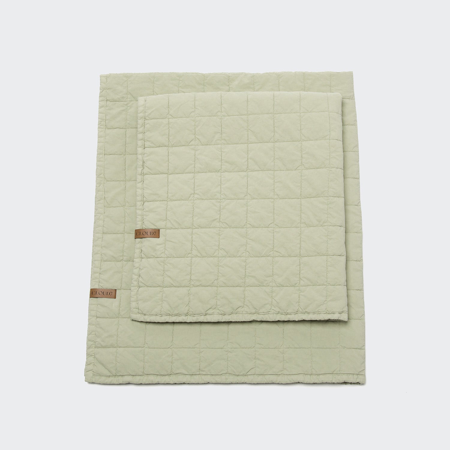 LTTL Faded Moss Dog Blanket - Soft, Cozy Comfort for Pets