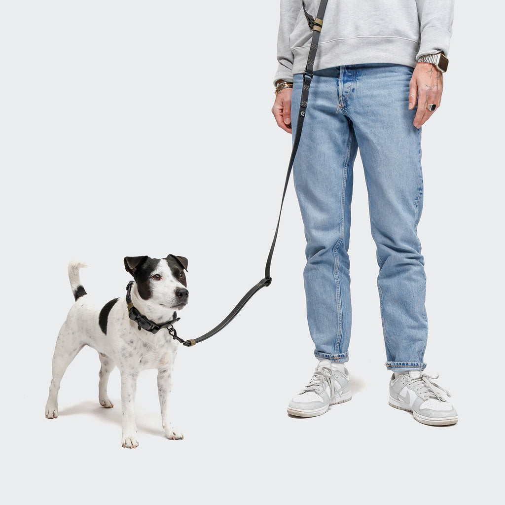 Premium Hands-Free Dog Leash - BioThane Ipanema Black-Olive