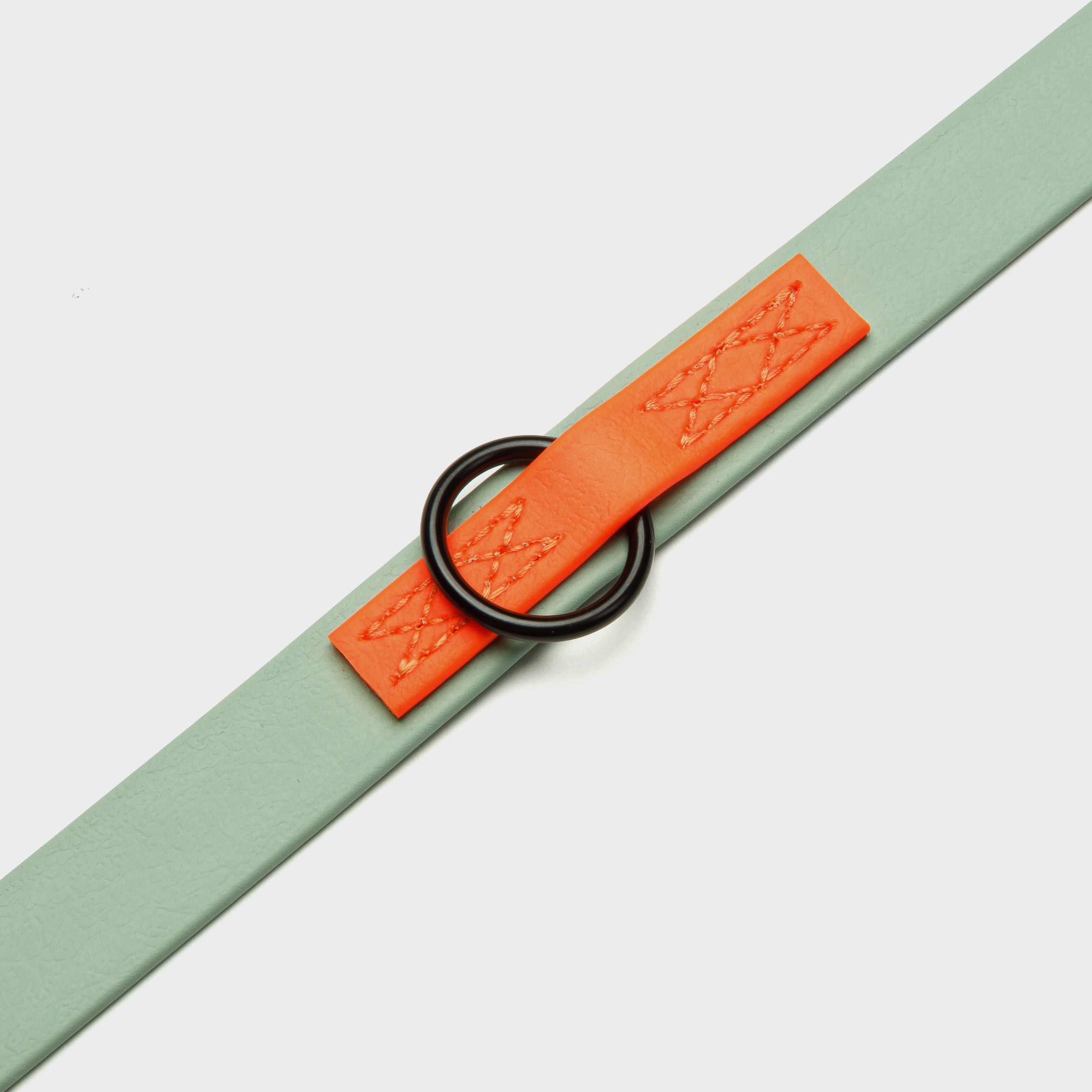 Adjustable BioThane Dog Leash - Ipanema Mint & Neon Orange
