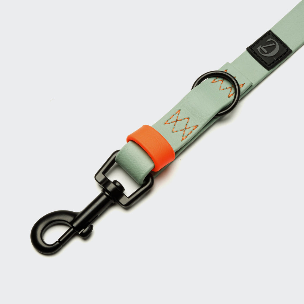 Adjustable BioThane Dog Leash - Ipanema Mint & Neon Orange