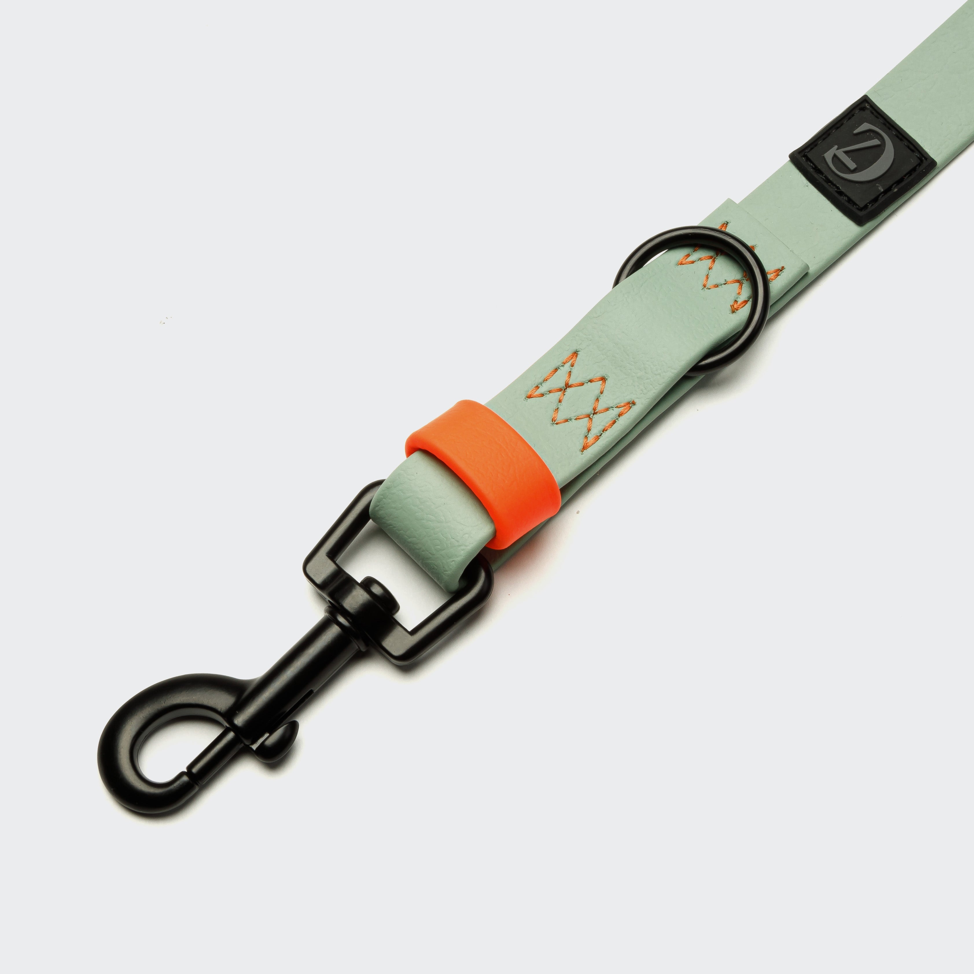 Adjustable BioThane Dog Leash - Ipanema Mint & Neon Orange
