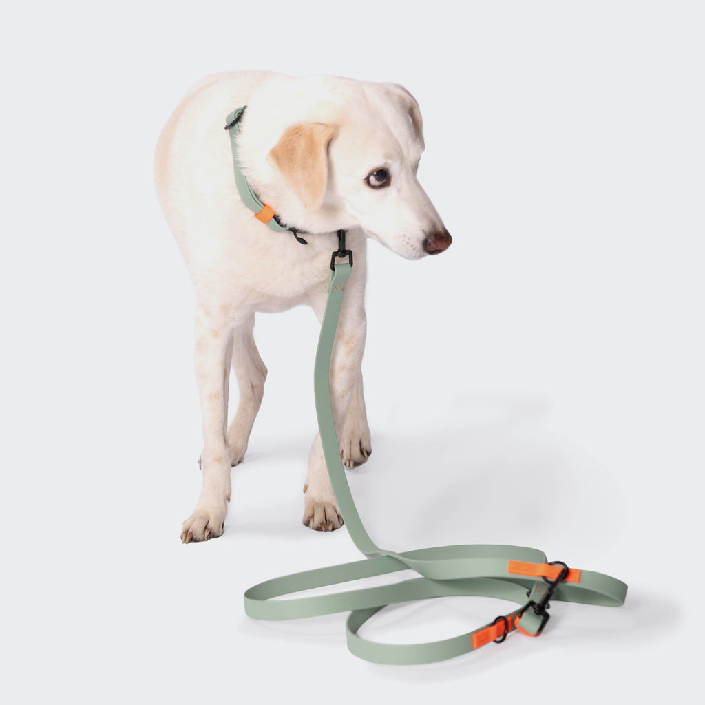Adjustable BioThane Dog Leash - Ipanema Mint & Neon Orange