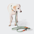 Adjustable BioThane Dog Leash - Ipanema Mint & Neon Orange