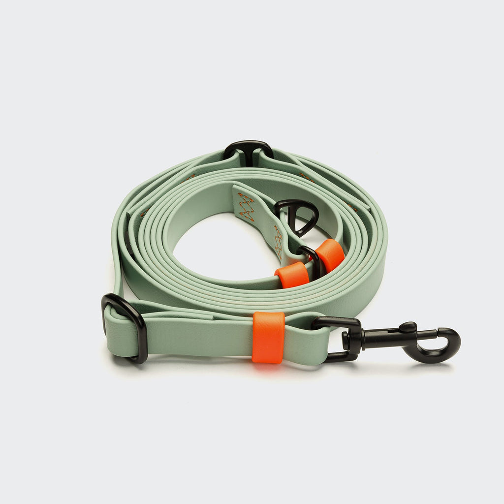 BioThane Hands-Free Dog Leash - Ipanema Mint with Neon Orange Accents